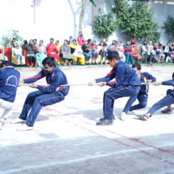 game (8)